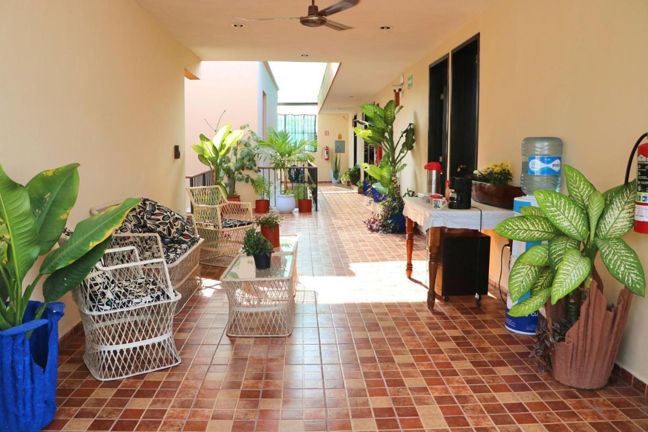 Hotel Casa Pellegrin Merida Exterior photo